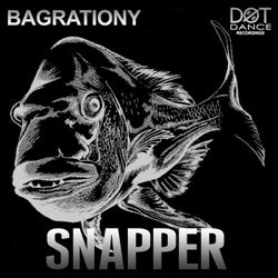 Snapper (Radio Mix)