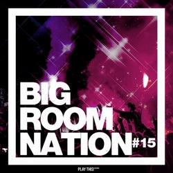 Big Room Nation Vol. 15