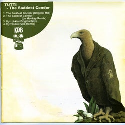 The Saddest Condor
