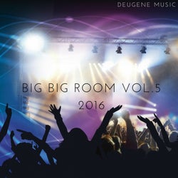 Big Big Room, Vol. 5