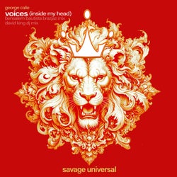 Voices (Inside My Head)