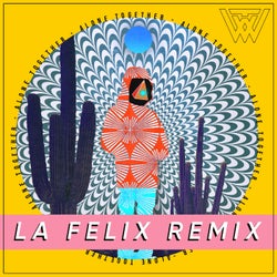 Alone Together (La Felix Remix)