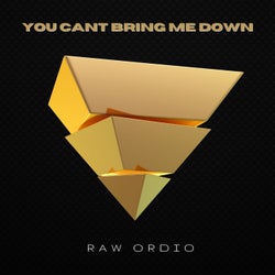 YOU CANT BRING ME DOWN