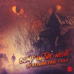 Bump In the Night