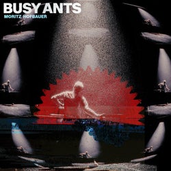 Busy Ants