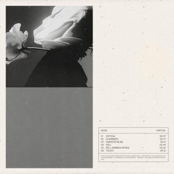 Critical EP - incl. Nørbak Remix