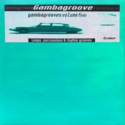 Gambagrooves, Vol. 5 (Loops, percussions & rhythm grooves)