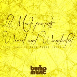 Lil Mark Presents Wired And Wonderful 5 Years Of Bump Music
