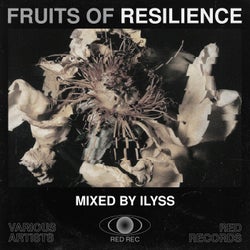Fruits of Resilience (Mixed By Ilyss)