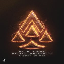 FLAMES ON MAX