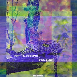 Feline