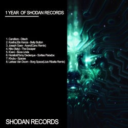 1 Year Of Shodan Records
