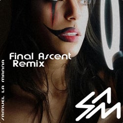 Final Ascent (Remix)