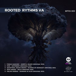 Rooted Rythms VA 3