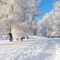 January '13 Freezing Chart by Iaroslav