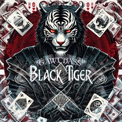 Black Tiger (Original Mix)