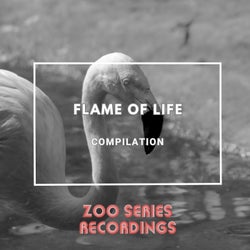 Flame of Life