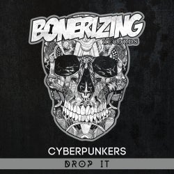 Cyberpunkers "Drop It" Chart
