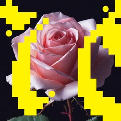 Now, There, Forever