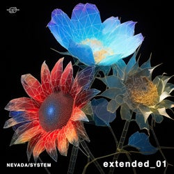 extended_01