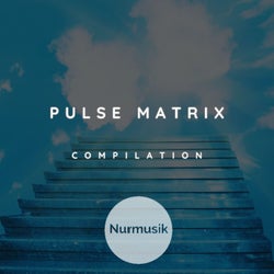 Pulse Matrix