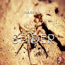 Spider EP