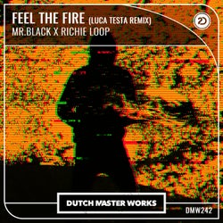 Feel The Fire  (Luca Testa Remix)