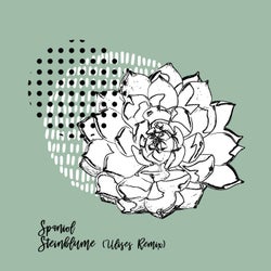 Steinblume (Incl. ulises Remix)