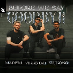Before We Say Goodbye