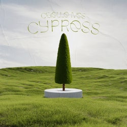 Cypress