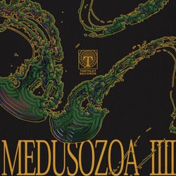 Medusozoa Vol. IIII