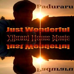 1305 Paduraru Pres Just Wonderful Housemusic!