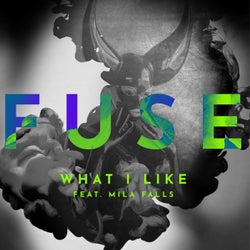 What I Like (feat. Mila Falls) (Extended Mix)