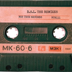 D.S.L. the Remixes