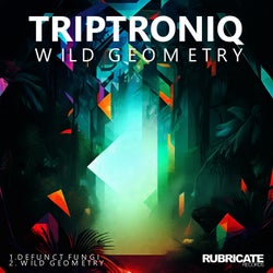 Wild Geometry EP