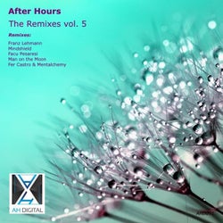 After Hours - the Remixes, Vol. 5