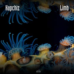Limb