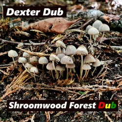 Shroomwood Forest Dub