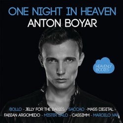 One Night In Heaven, Vol. 19 - Mixed & Selected by Anton Boyar