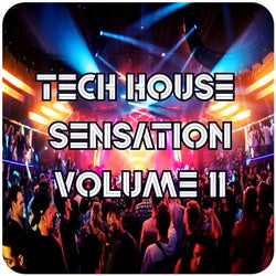 Tech House Sensation, Vol.11 (BEST SELECTION OF CLUBBING TECH HOUSE TRACKS)