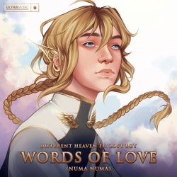 Words Of Love (Numa Numa) (Extended Mix)