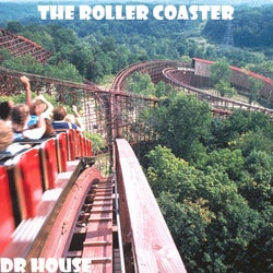 The Roller Coaster