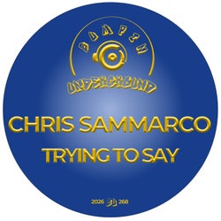 Trying To Say