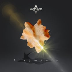 Fragments