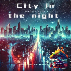 City in the night