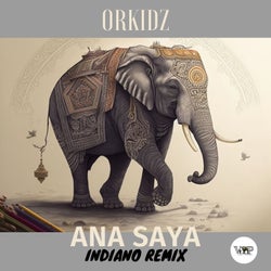 Ana Saya (Indiano Remix)