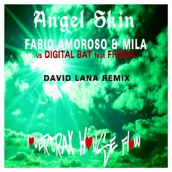Angel Skin(David Lana Remix)