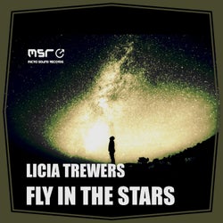 Fly in the Stars