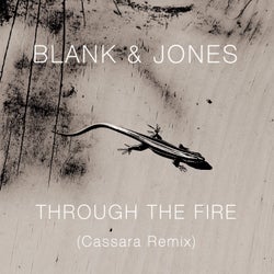 Through the Fire (Cassara Remixes)