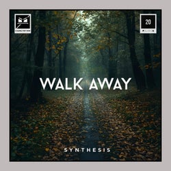 Walk Away (feat. cubewireframe)
